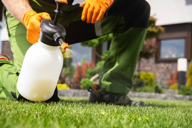 Best Affordable Pest Control Services  in Newton, TX