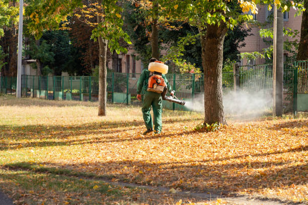 Best Best Pest Control Companies  in Newton, TX