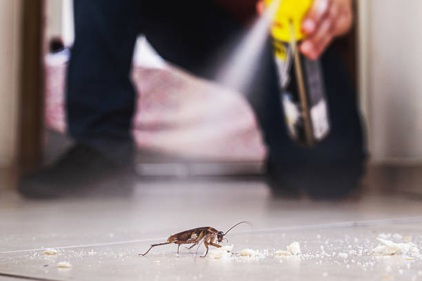 Professional Pest Control in Newton, TX